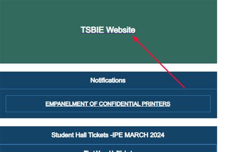 tsbie results 2024